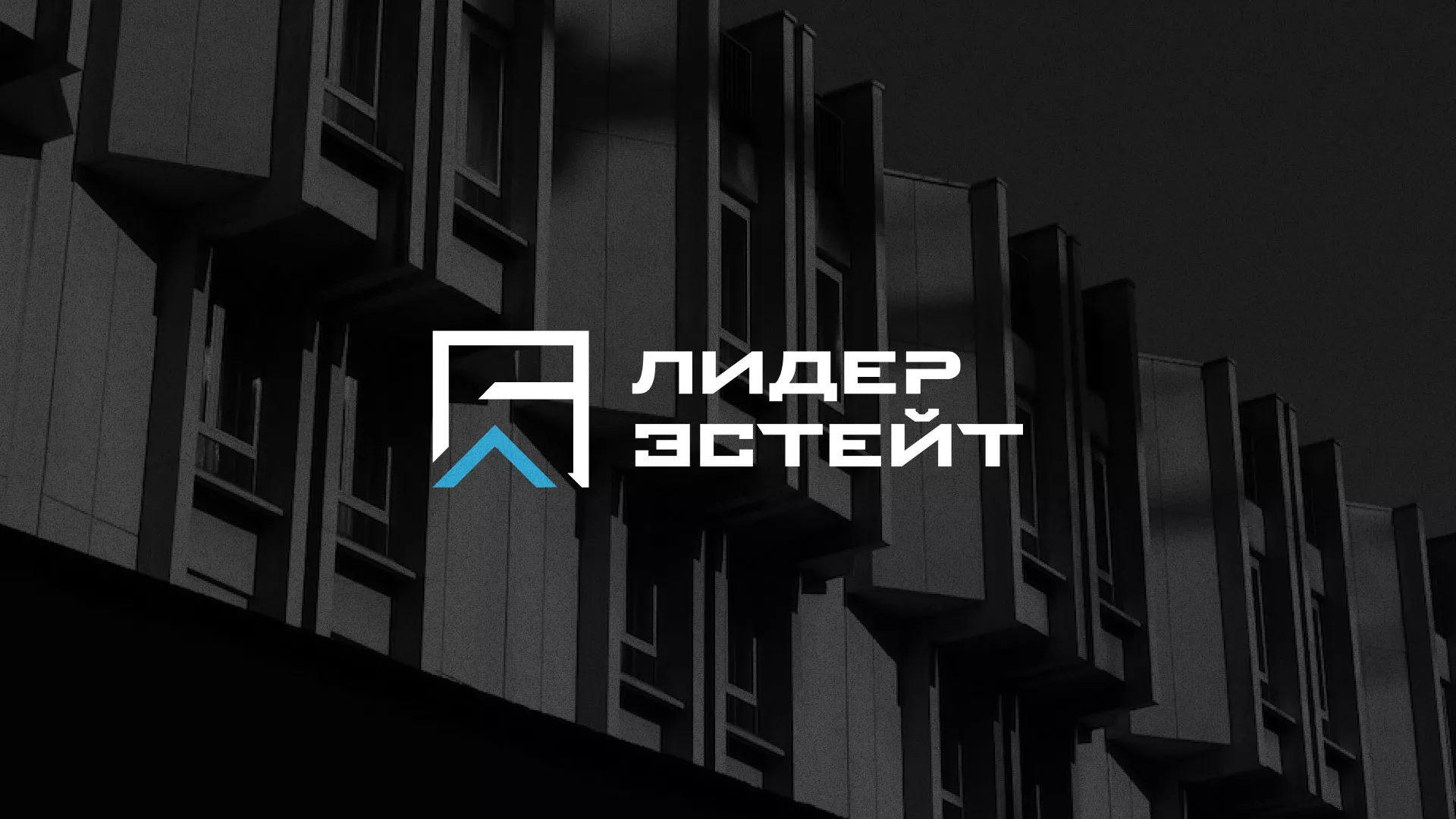Разработка логотипа агентства недвижимости «Лидер Эстейт» в Чайковском